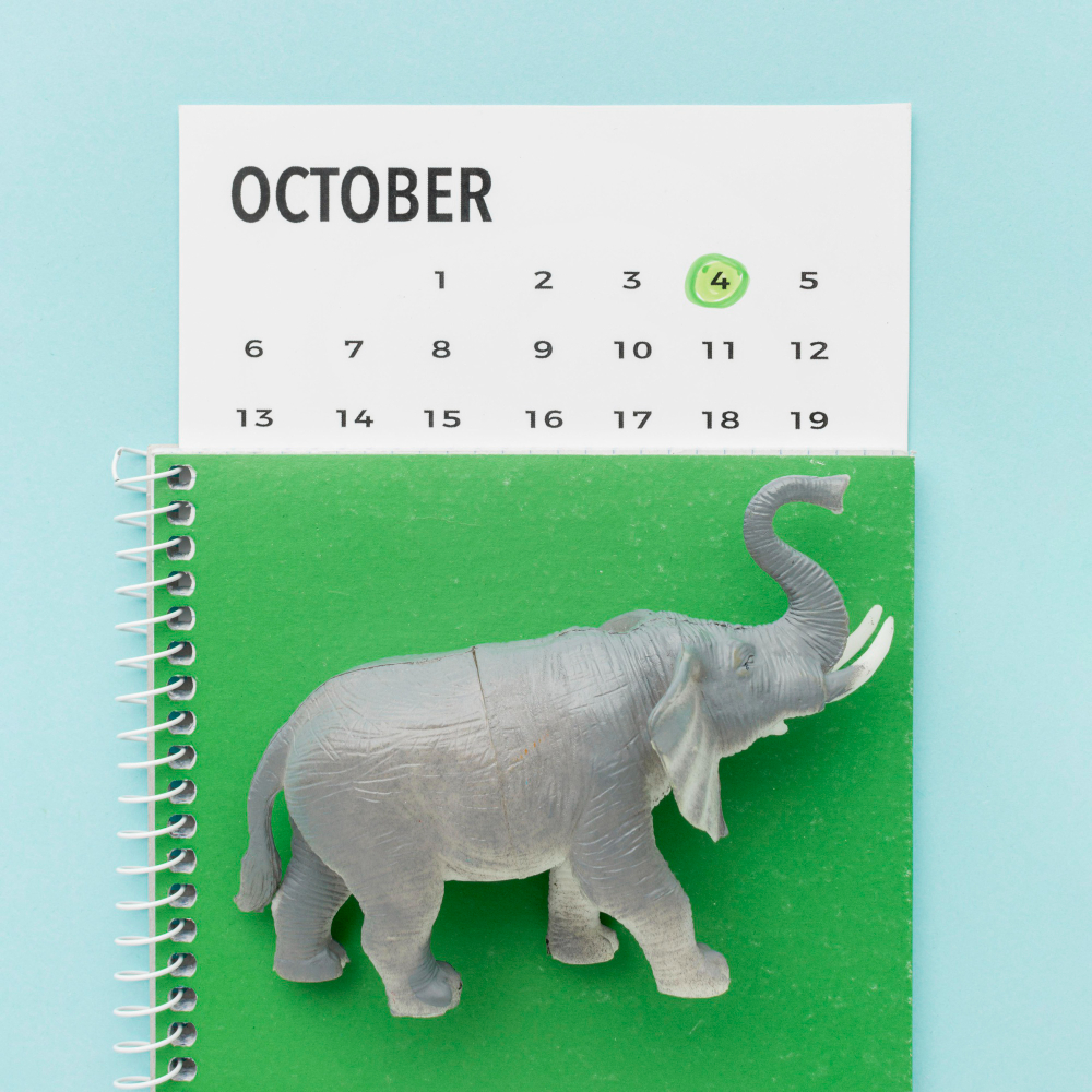 Fridge Calendars