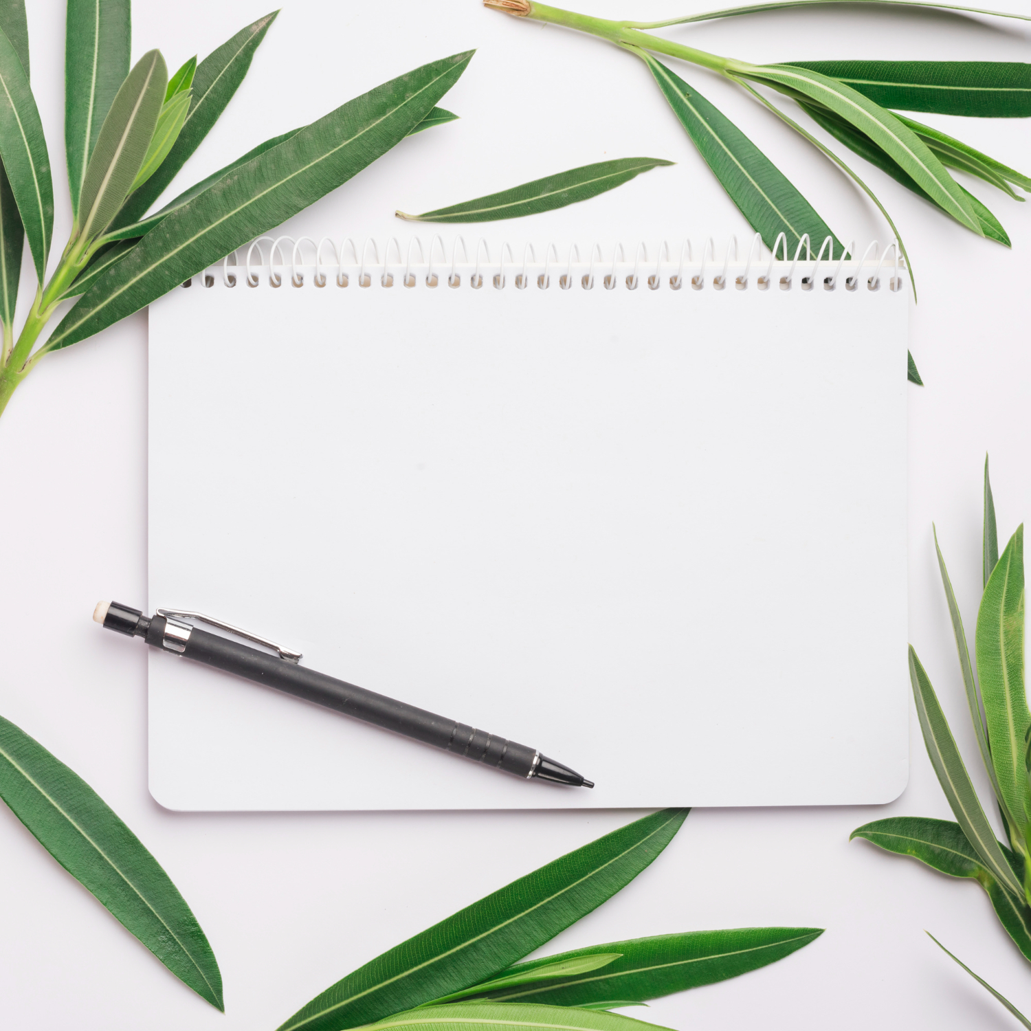 Carbon Less Receipt Books